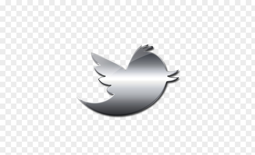 Twitter Bird Logo Social Media Silver Image PNG