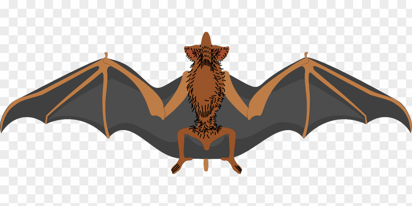 Bat Wing Clip Art PNG