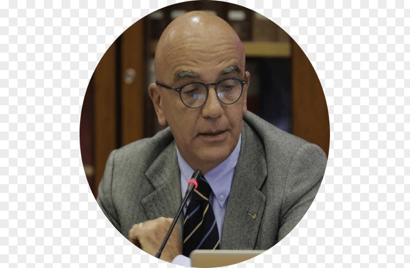 Giovanni Battista Piranesi Roberta Vacondio Psicologa Psychologist Bologna Psychotherapist Via Taggia PNG