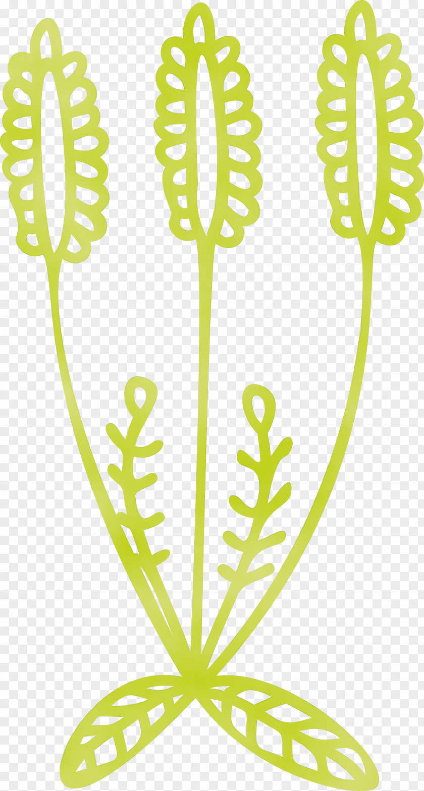 Leaf Plant Stem Flower Line M-tree PNG