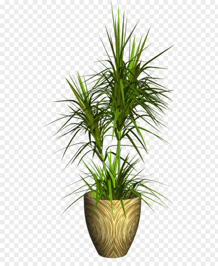 Vase Flowerpot Houseplant Image PNG