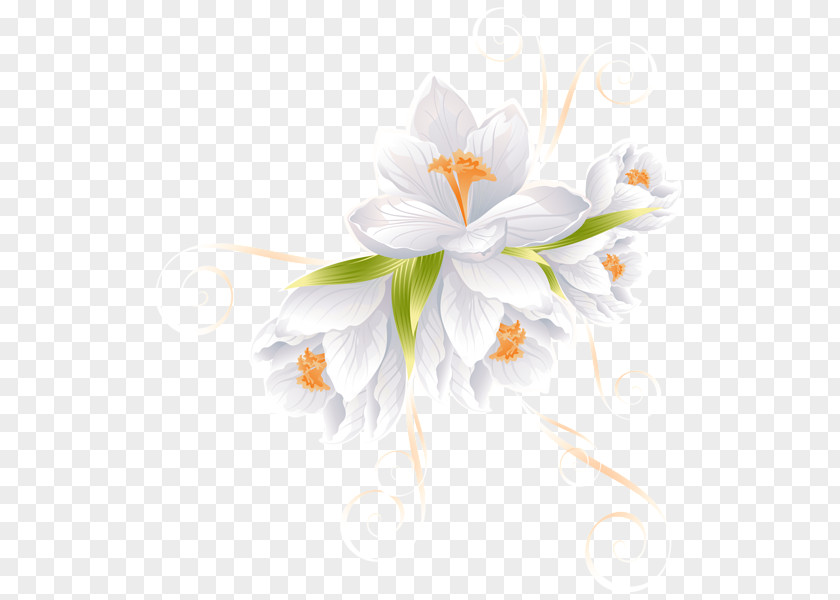 White Flower Lilium Clip Art PNG