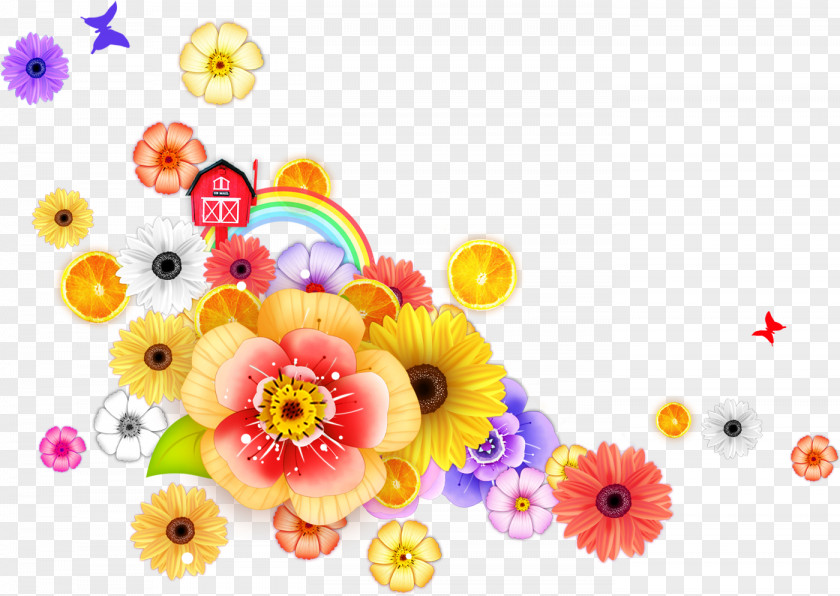 Flower Photography Color PNG