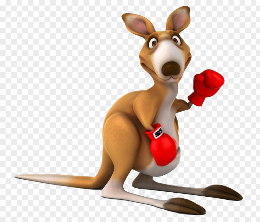 Kangaroo Wearing Boxing Gloves Red Tree-kangaroo PNG