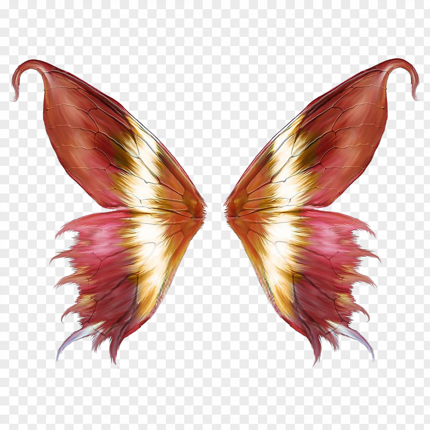 Pink Butterfly Wings PNG