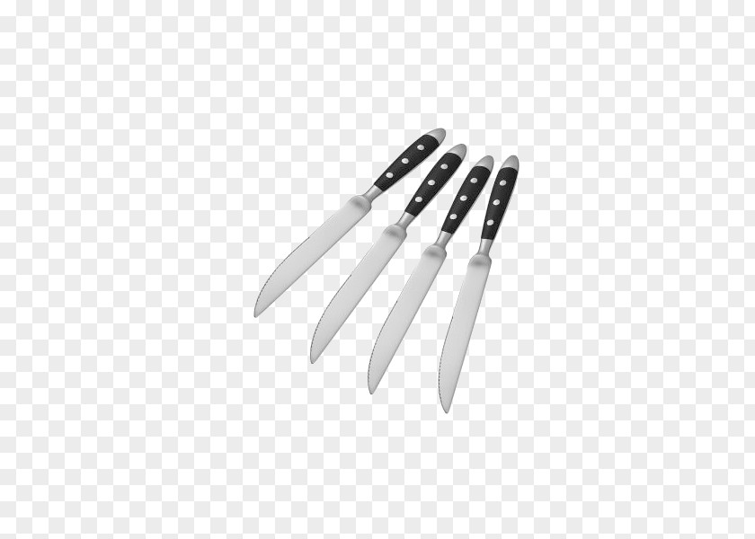Plastic Handle Stainless Steel Steak Knives 4 MountedHandmade Knife Beefsteak Cutlery PNG