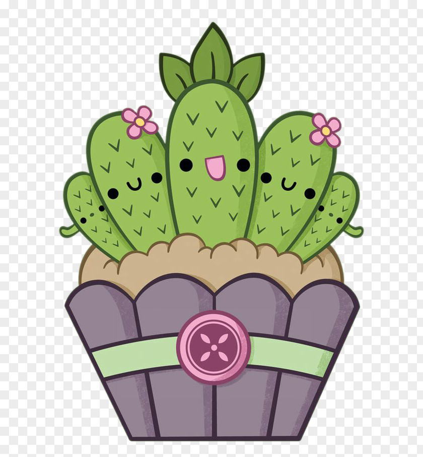 Cactus Drawing Cactaceae Pencil Illustration PNG