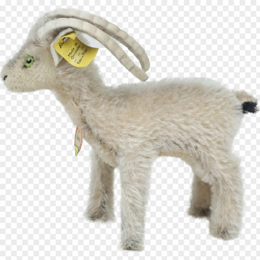 Sheep Goat Fur Terrestrial Animal Snout PNG