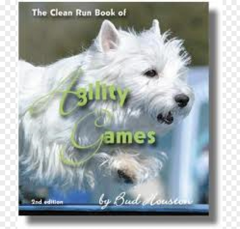 Teacup Dogs Agility Association West Highland White Terrier Glen Cairn Companion Dog Breed PNG