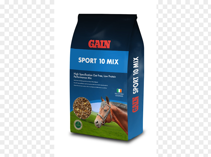 Horse Equine Nutrition Fodder Equestrian Sport PNG