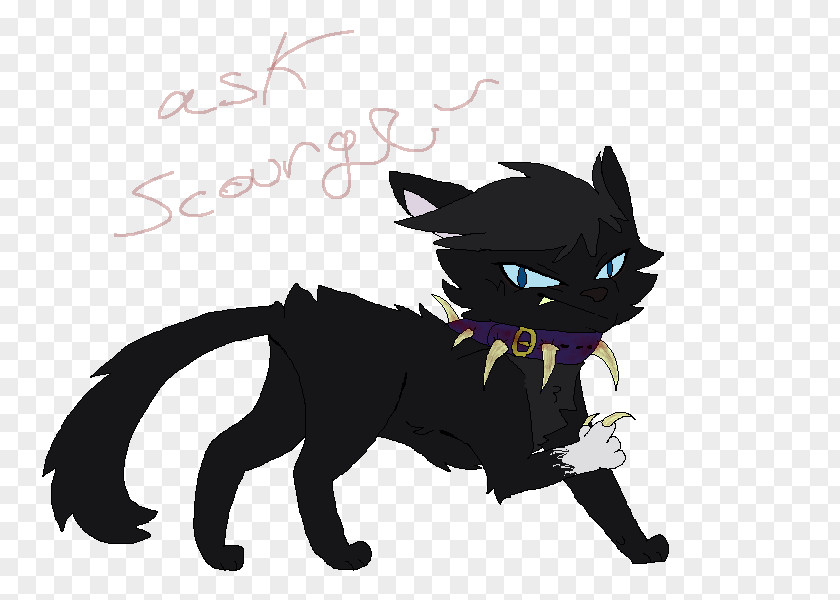 Kitten The Rise Of Scourge Warriors Cat Whiskers PNG