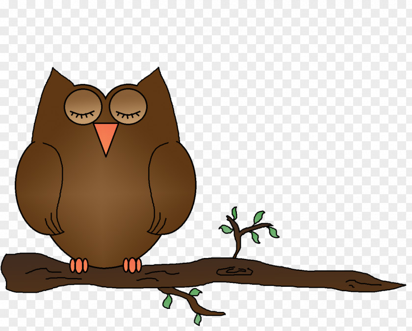 Owls Owl Sleep Clip Art PNG