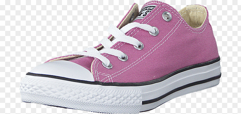 Purple Powder Sneakers Converse Chuck Taylor All-Stars Shoe Clothing PNG