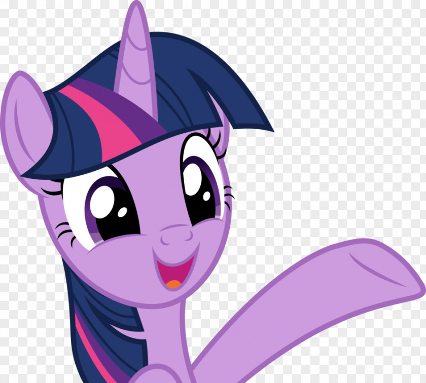 Twilight Sparkle Rarity Pinkie Pie Applejack Rainbow Dash PNG