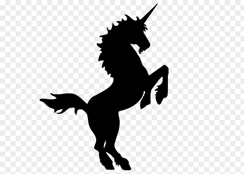 Unicorn Paper Wall Decal Bumper Sticker PNG