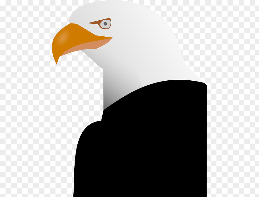 Azadi Symbol Bald Eagle Bird Vector Graphics Clip Art PNG