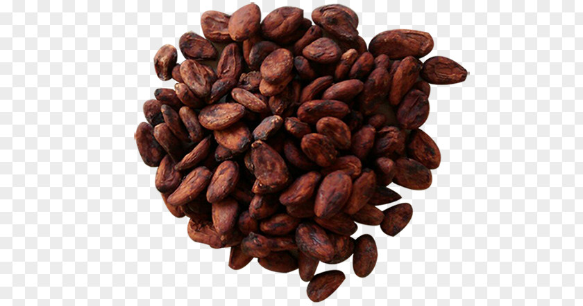 Cacao Jamaican Blue Mountain Coffee Cocoa Bean Caffeine Commodity Tree PNG