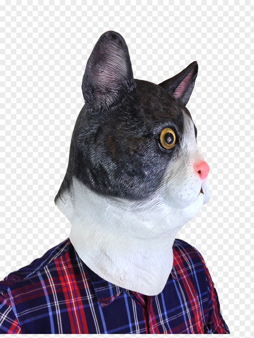 Cat Whiskers Mask Headgear Costume Party PNG