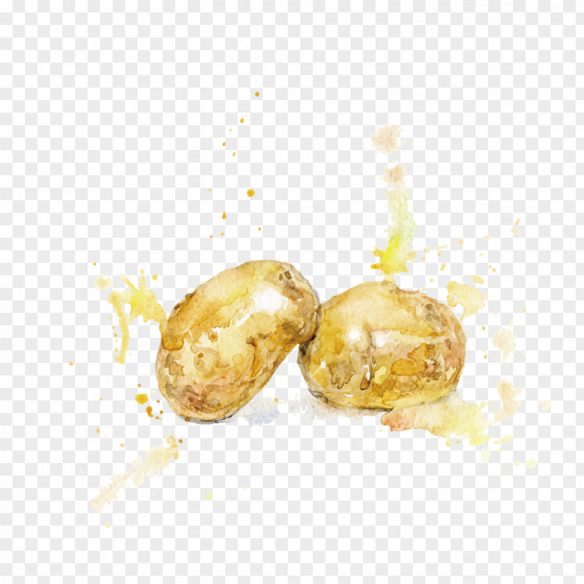 Ink Effect Potatoes Watercolor Painting Potato Illustration PNG