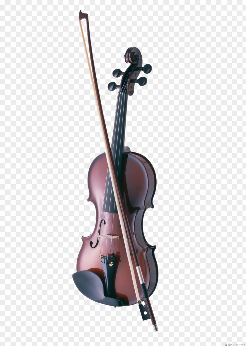 Musical Instruments Cremona Cello Violin Instrument PNG