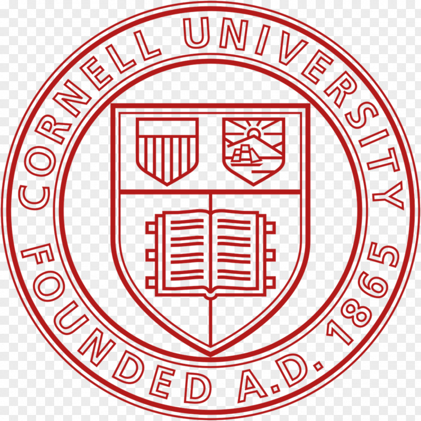 Student Cornell University College Of Engineering Entrepreneurship At Celebration 2019 Puerto Rico PNG