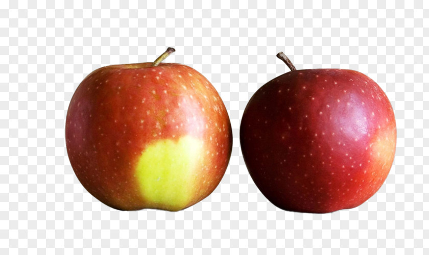 Apple Apples To Cider And Oranges Food PNG