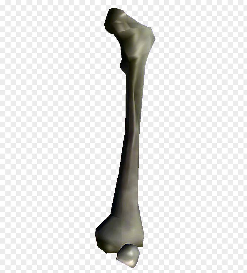 Bone Oblivion PNG