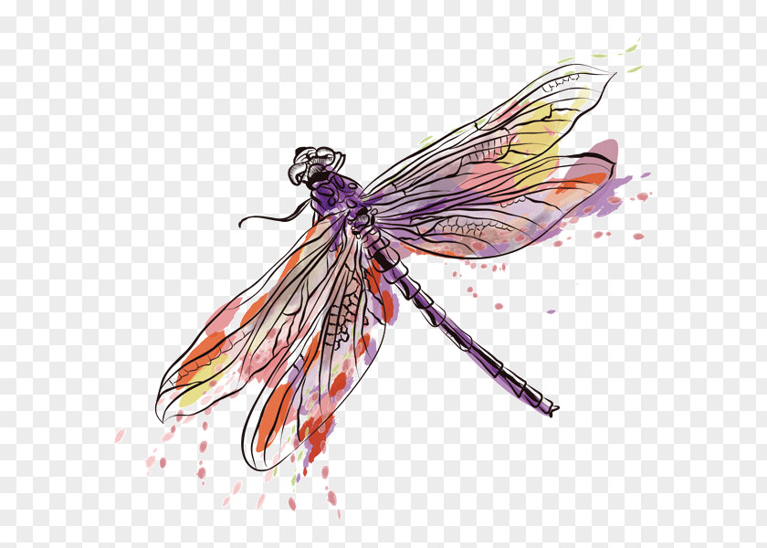 Dragonflies Temporary Tattoos Clip Art Vector Graphics Image PNG