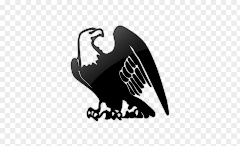 Free Svg Eagle Florence Sawyer School Student Library National Secondary PNG