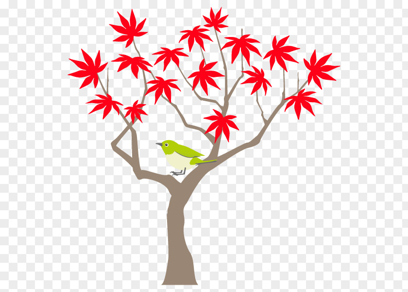 Twig Clip Art Bamboo Leaf Maple PNG