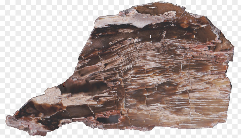 Wood Slab Mineral Outcrop Igneous Rock PNG