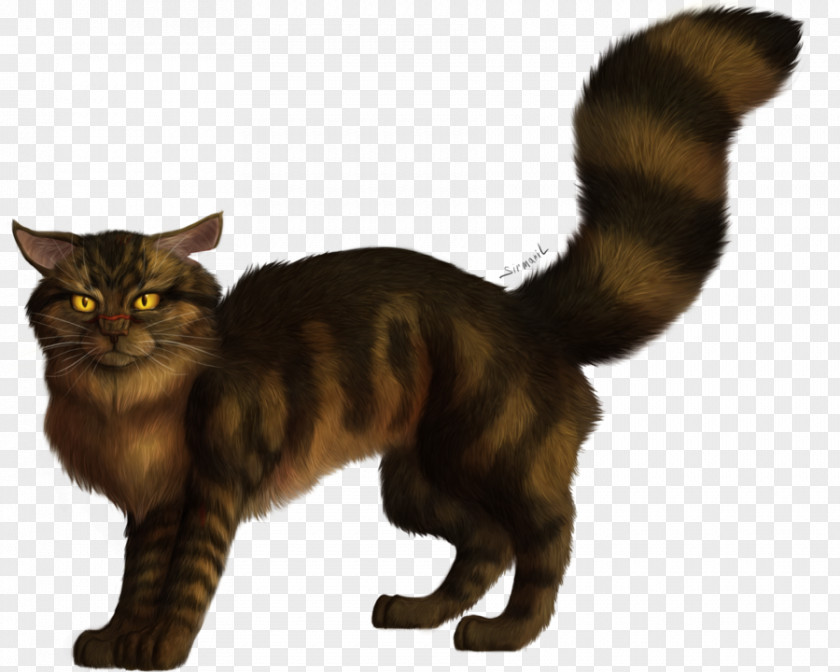 Cat Domestic Short-haired Tigerstar Whiskers Warriors PNG