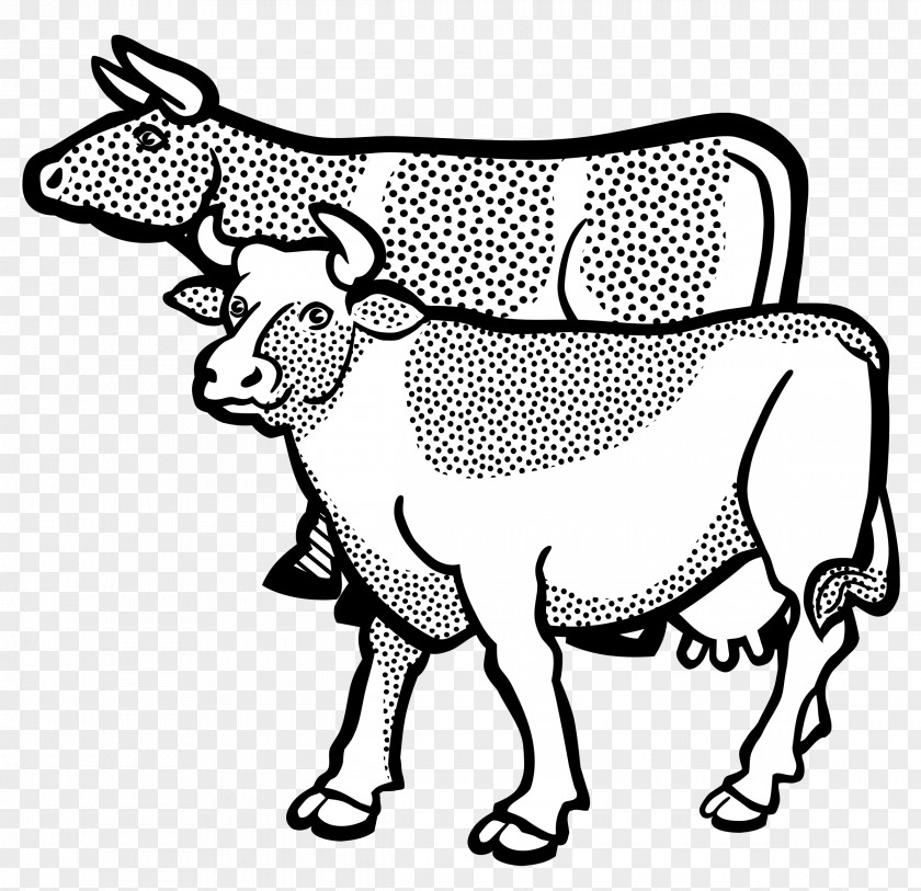 Cow Cattle Line Art Clip PNG