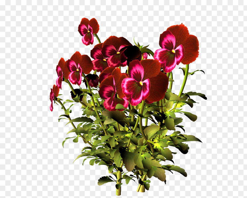 Flower Cut Flowers Pansy Floral Design Clip Art PNG
