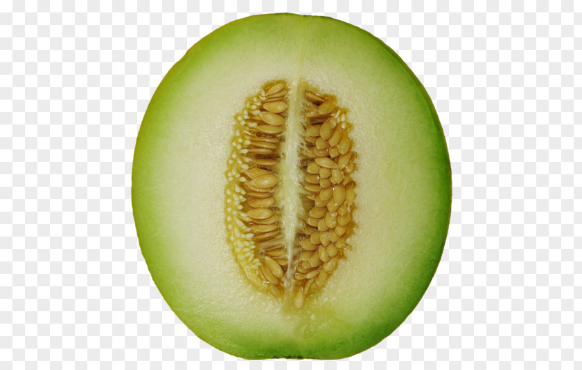 Melon Cantaloupe Hami Honeydew Wax Gourd PNG