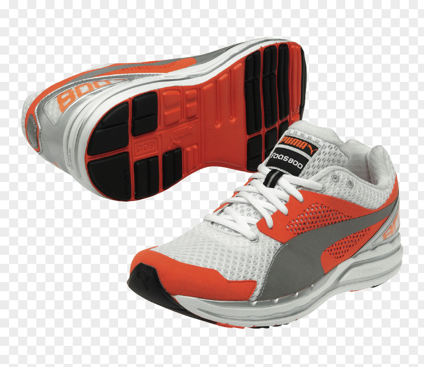 Skate Shoe Sneakers Sportswear PNG