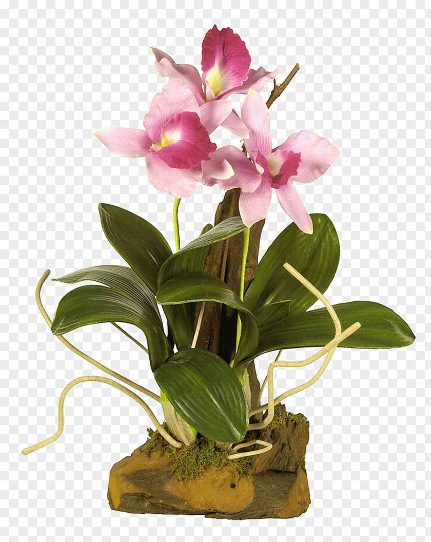 Violet Flower Vase PNG