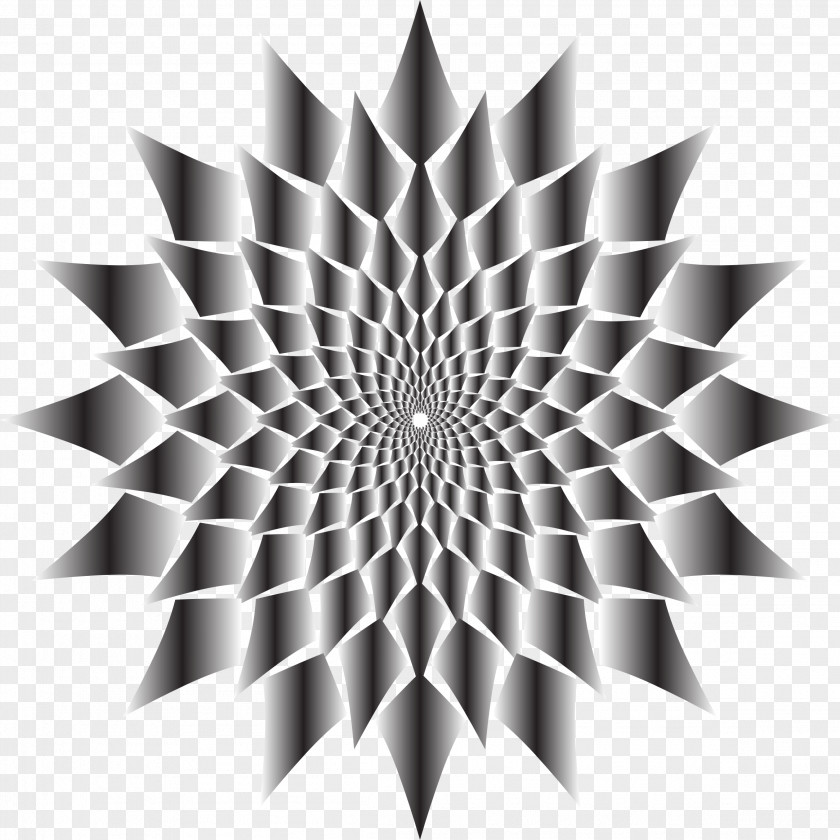 Vortex Drawing Clip Art PNG