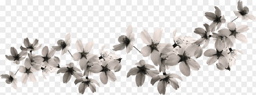 White Fabric Flowers Magnolia PNG fabric flowers magnolia clipart PNG