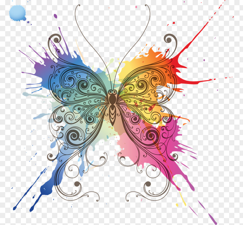 Wo Butterfly Drawing PNG