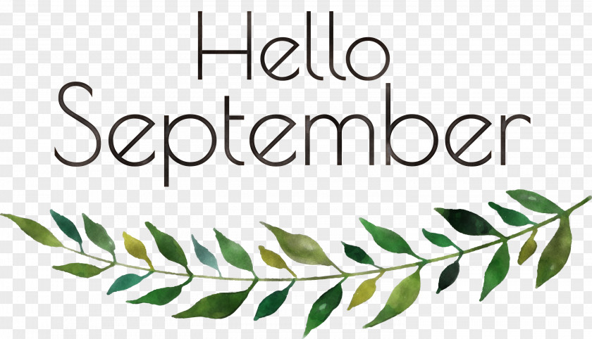 Hello September September PNG