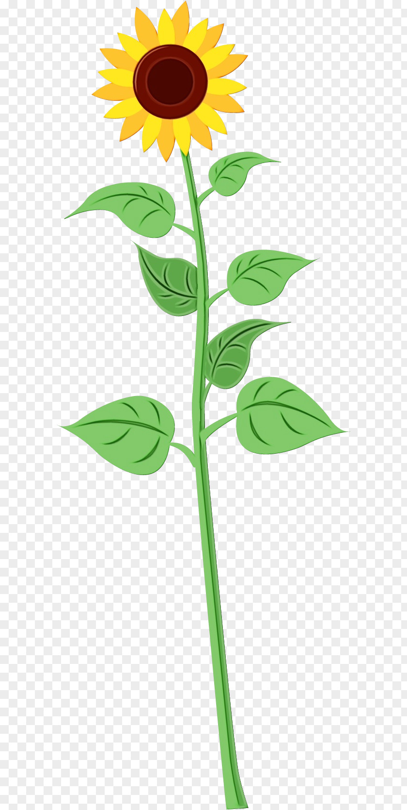 Herb Plant Stem Drawing Cartoon Plants Coloring Book Doodle PNG