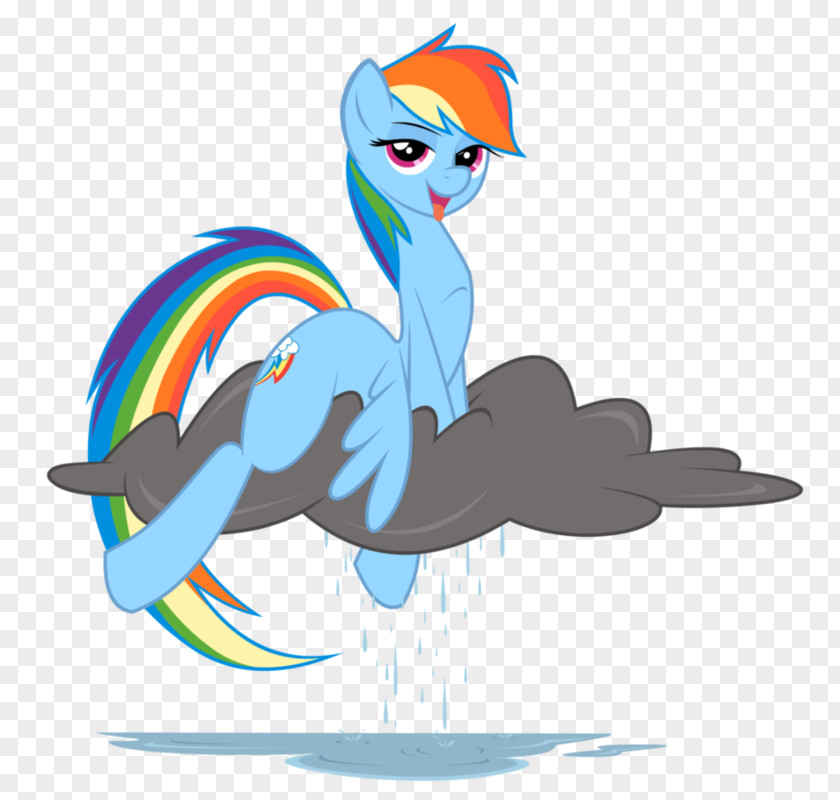 Horse My Little Pony Rainbow Dash Derpy Hooves PNG