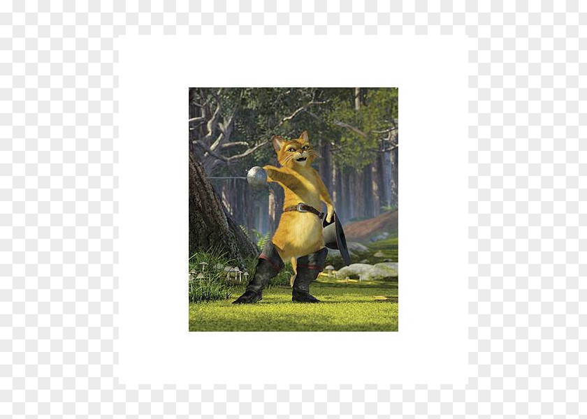 Puss In Boots Shrek Film DreamWorks Animation PNG