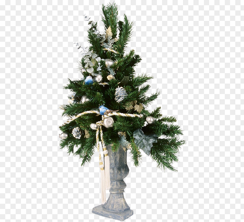 Beautiful Christmas Tree Gift New Year PNG