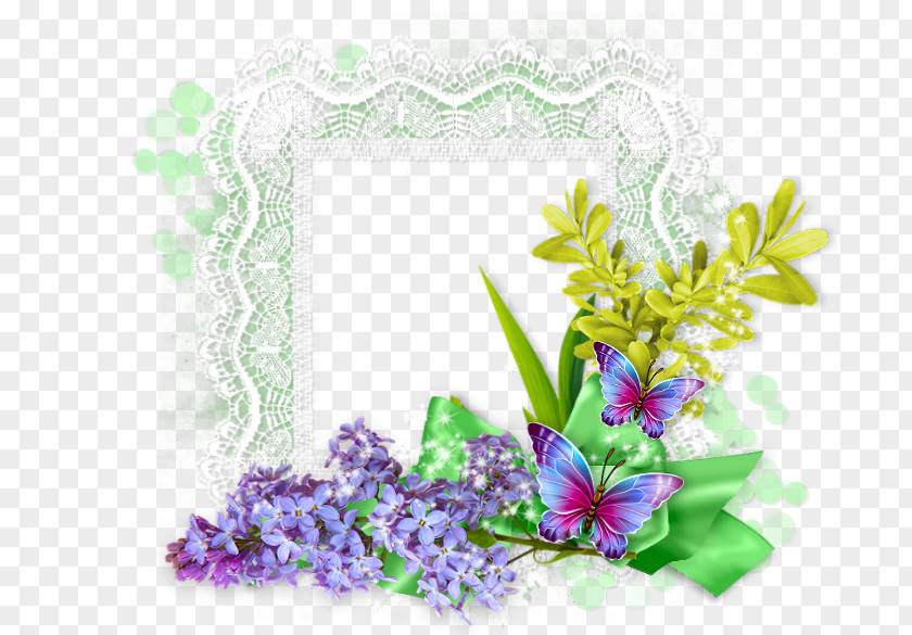 Floral Design Picture Frames Cut Flowers Lace PNG