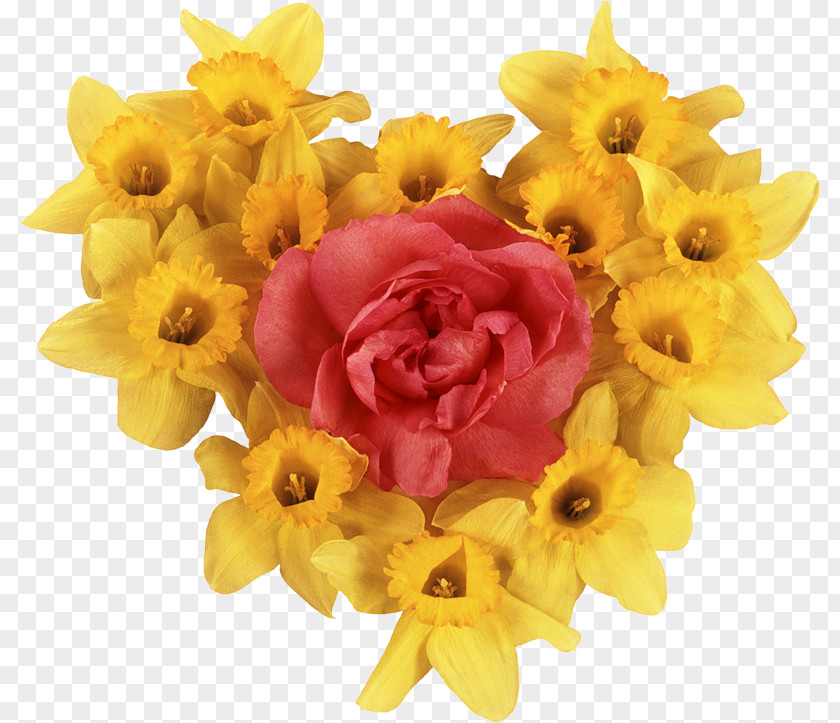 Information Board Flower Bouquet Daffodil Garden Roses Clip Art PNG