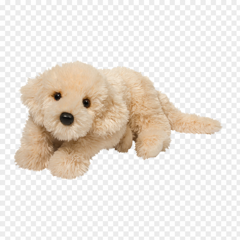 Puppy Toy Poodle Cockapoo Miniature Goldendoodle Havanese Dog PNG