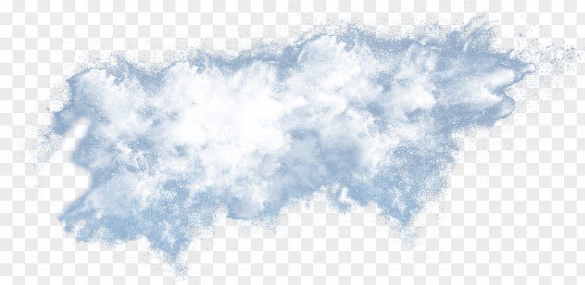 Tree Cumulus Line Sky Plc PNG