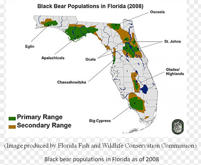 Bear Florida Black Map American Alligator PNG